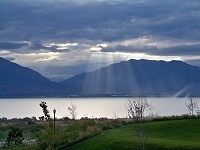 Termites in Saratoga Springs, UT